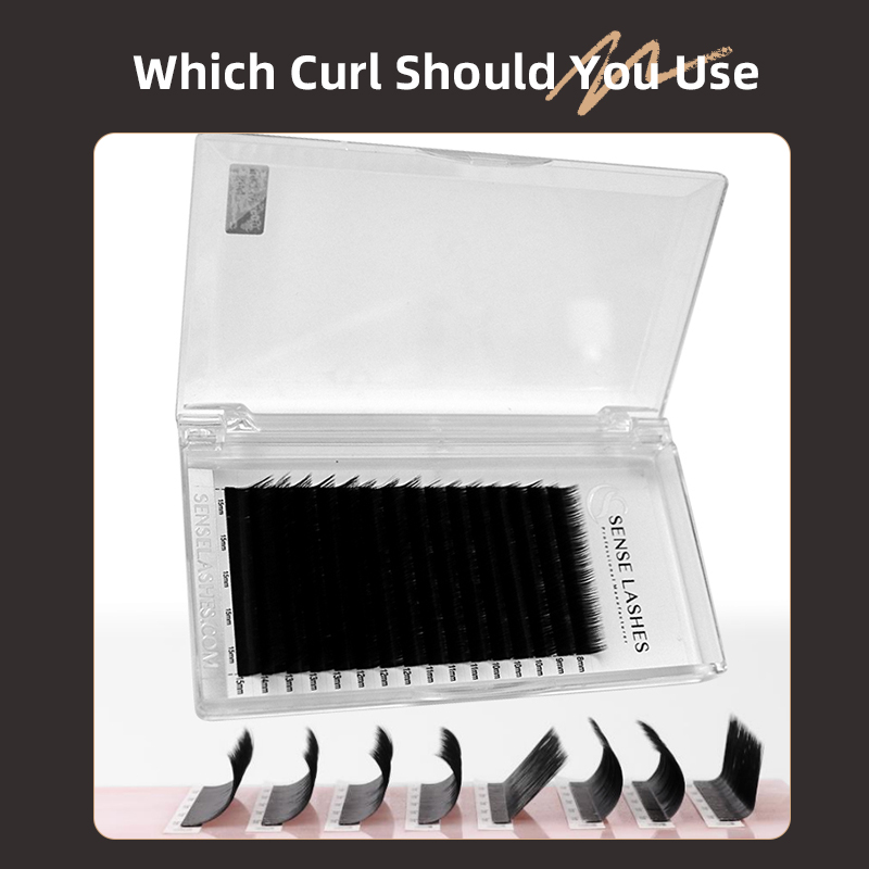 SENSE LASHES L / M / LC / LD C - Eyelash Extension For Asian Eyes review and price